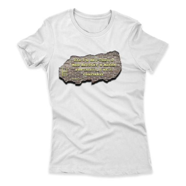 Camiseta Feminina Ele Rei - Salmos 91:2 - Imagem 5