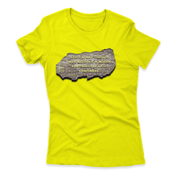 Camiseta Feminina Ele Rei - Salmos 91:2 - Imagem 2