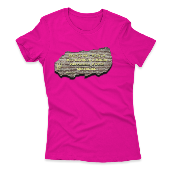 Camiseta Feminina Ele Rei - Salmos 91:2 - Imagem 8