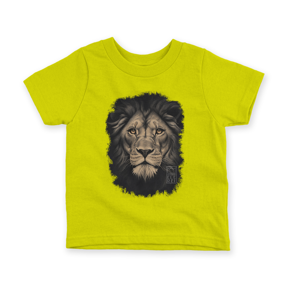 Camiseta Infantil Ele Rei – Leão – Cinza Nº2 - Imagem 3